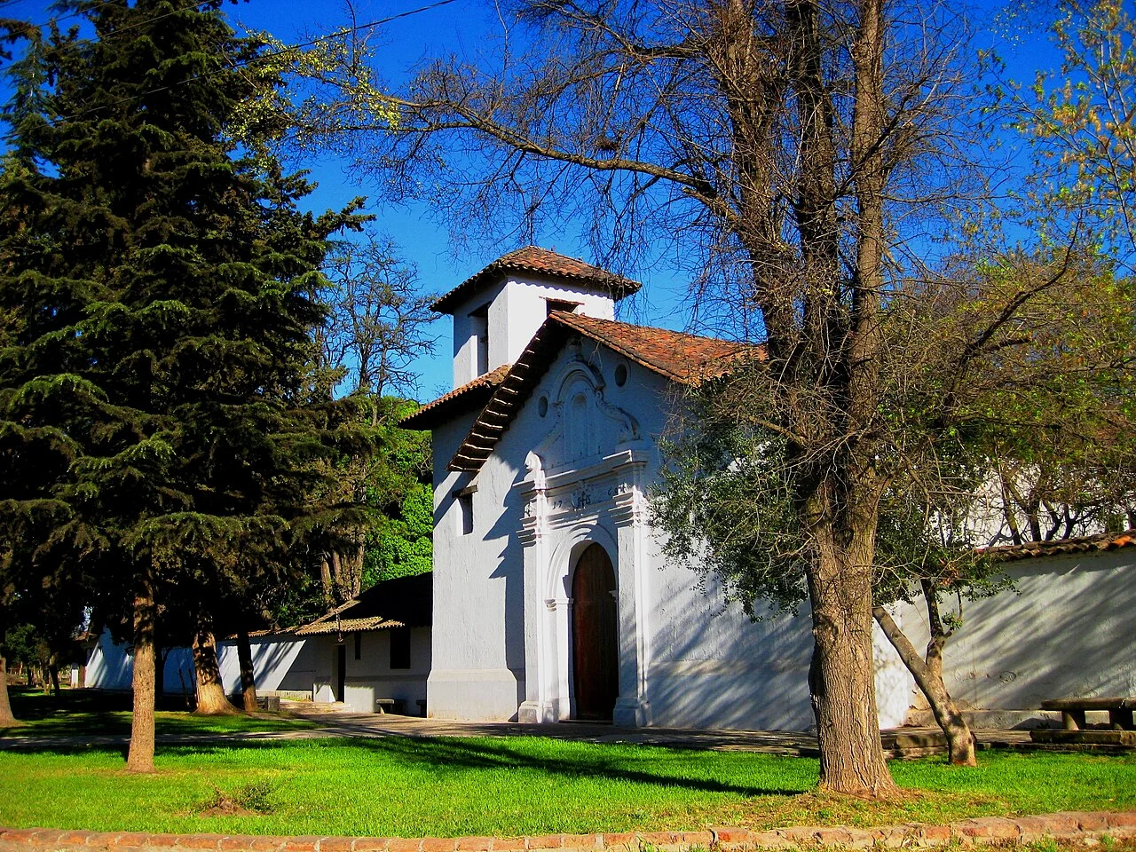 Cardiólogo veterinario a domicilio en Calera de Tango