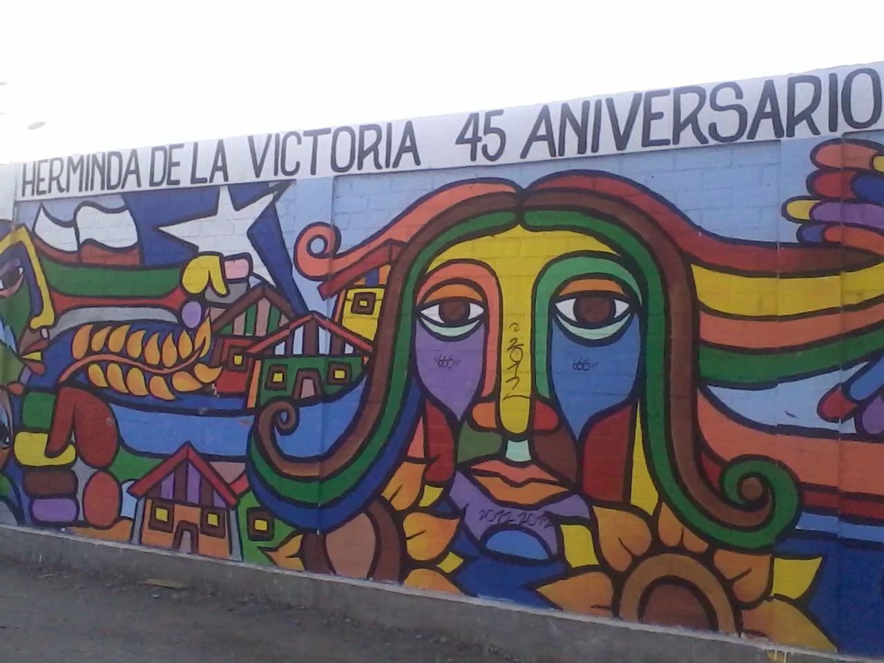 Cardiólogo veterinario a domicilio en Cerro Navia