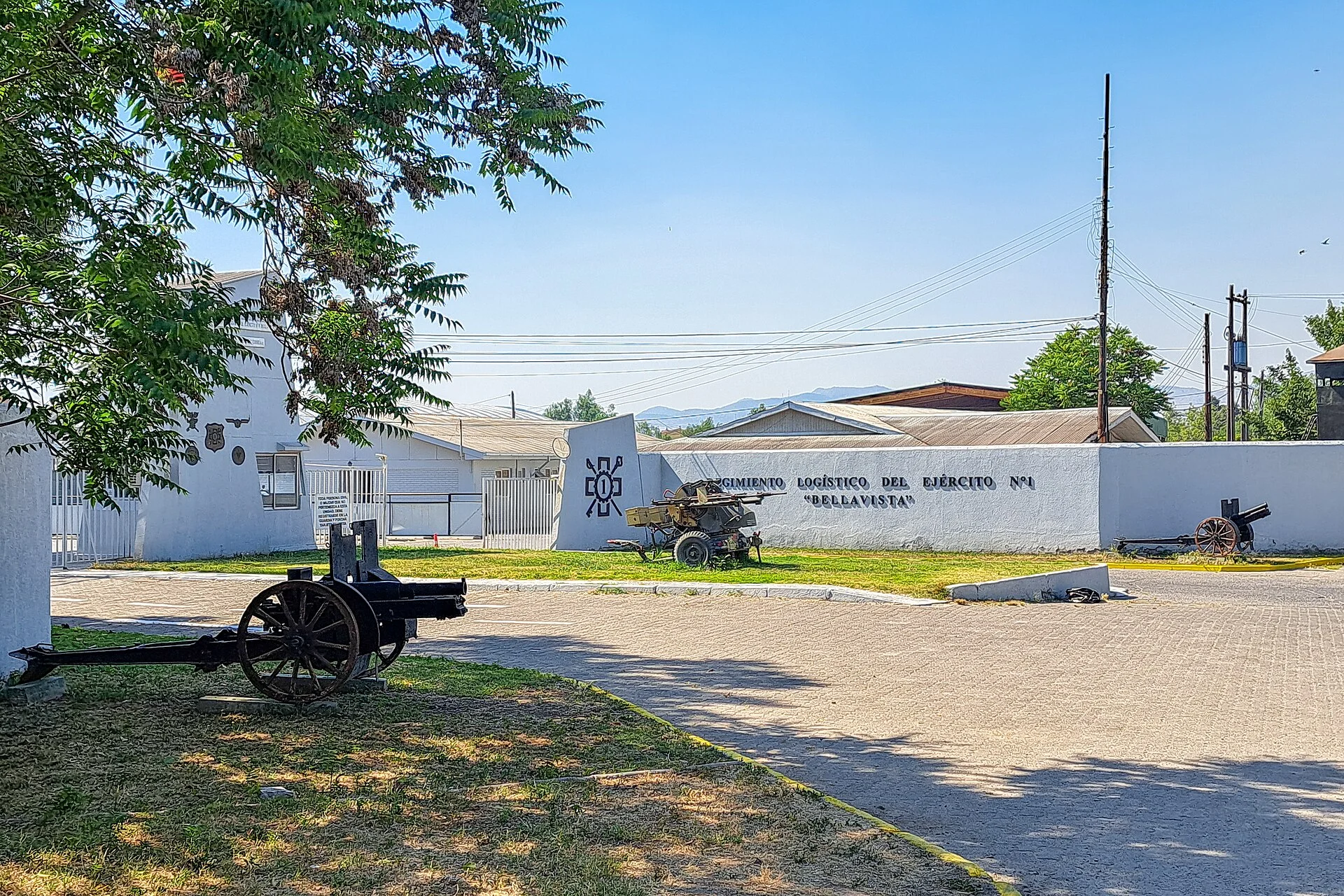 Cardiólogo veterinario a domicilio en Conchalí