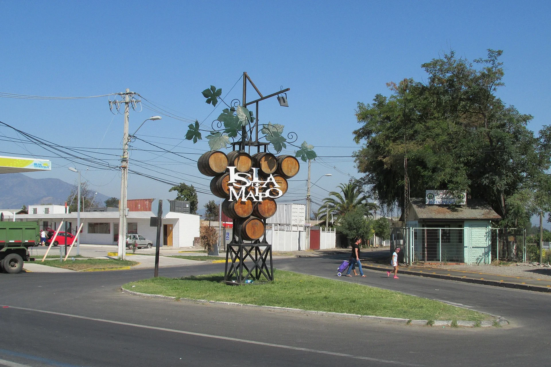 Cardiólogo veterinario a domicilio en Isla de Maipo