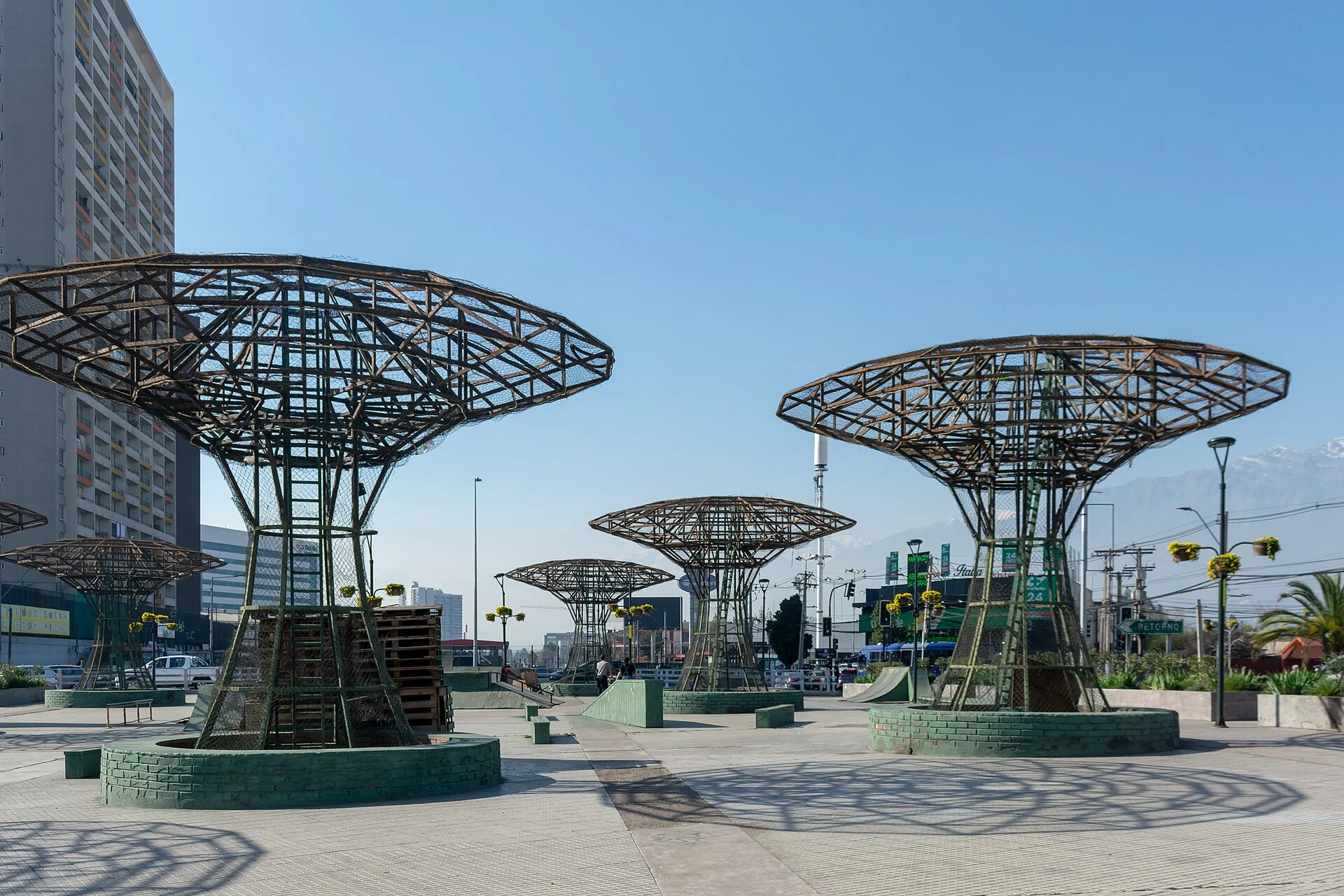 Cardiólogo veterinario a domicilio en La Florida