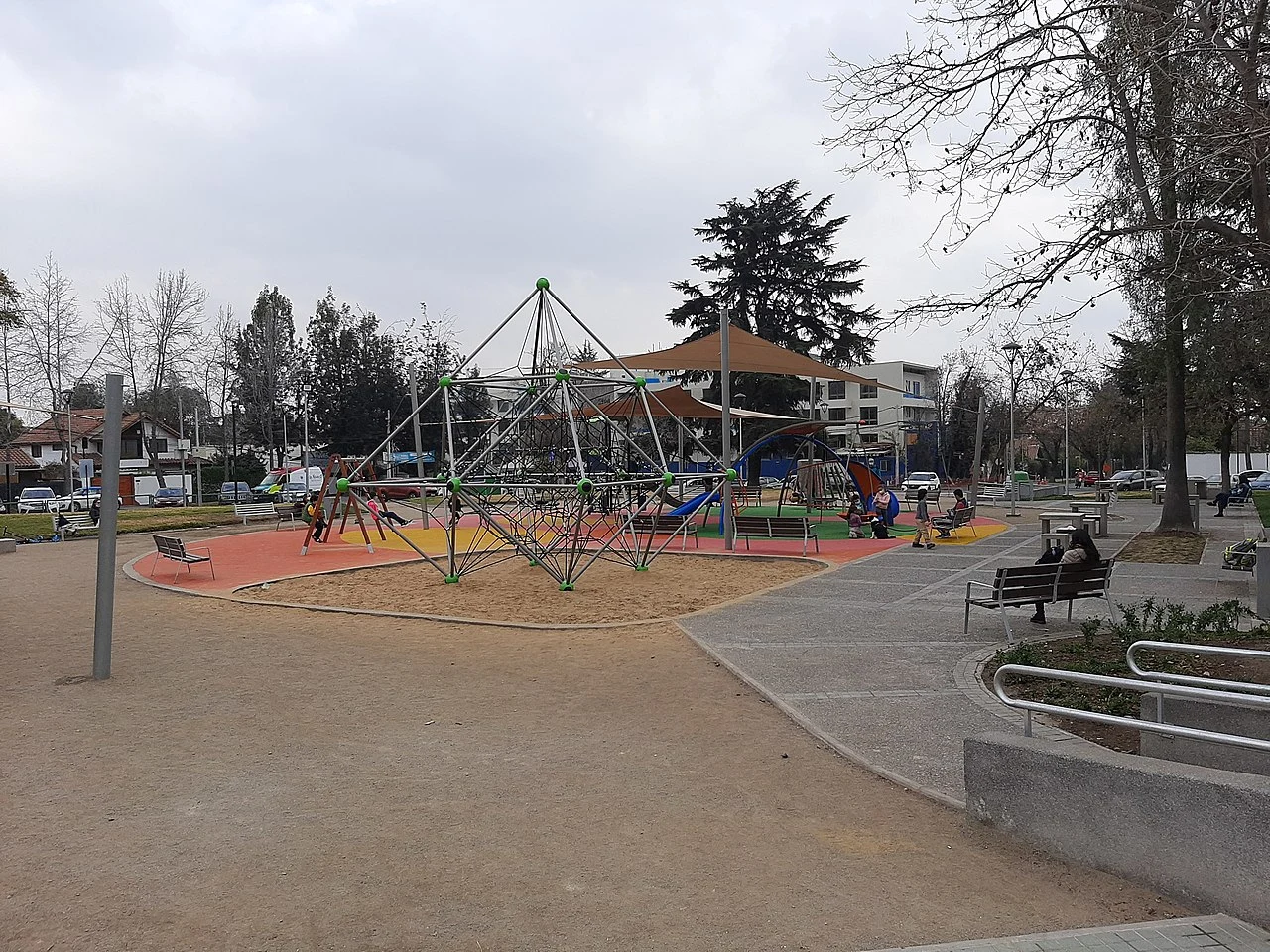 Cardiólogo veterinario a domicilio en La Reina