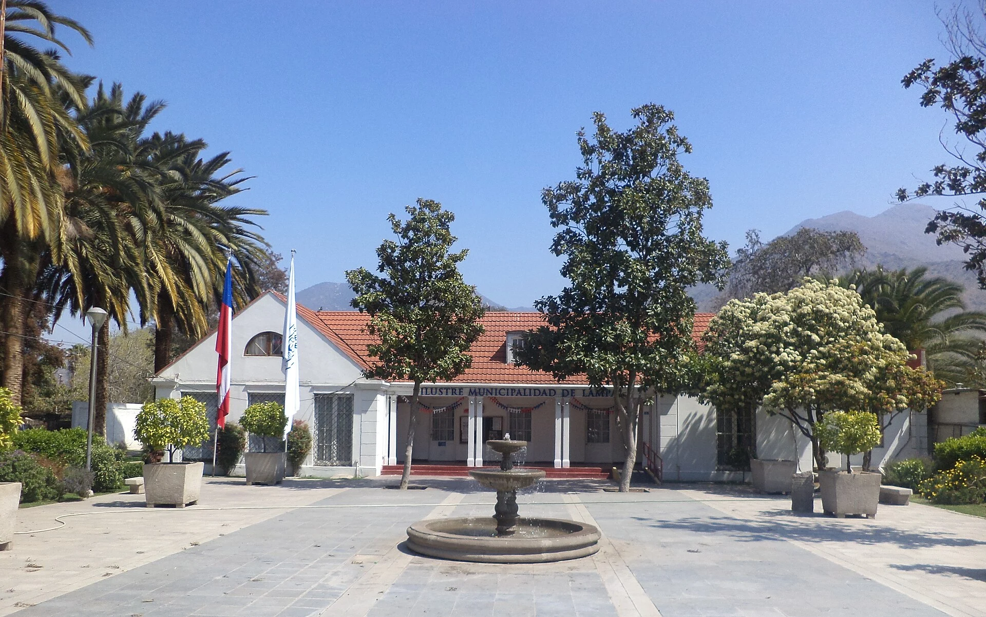 Cardiólogo veterinario a domicilio en Lampa