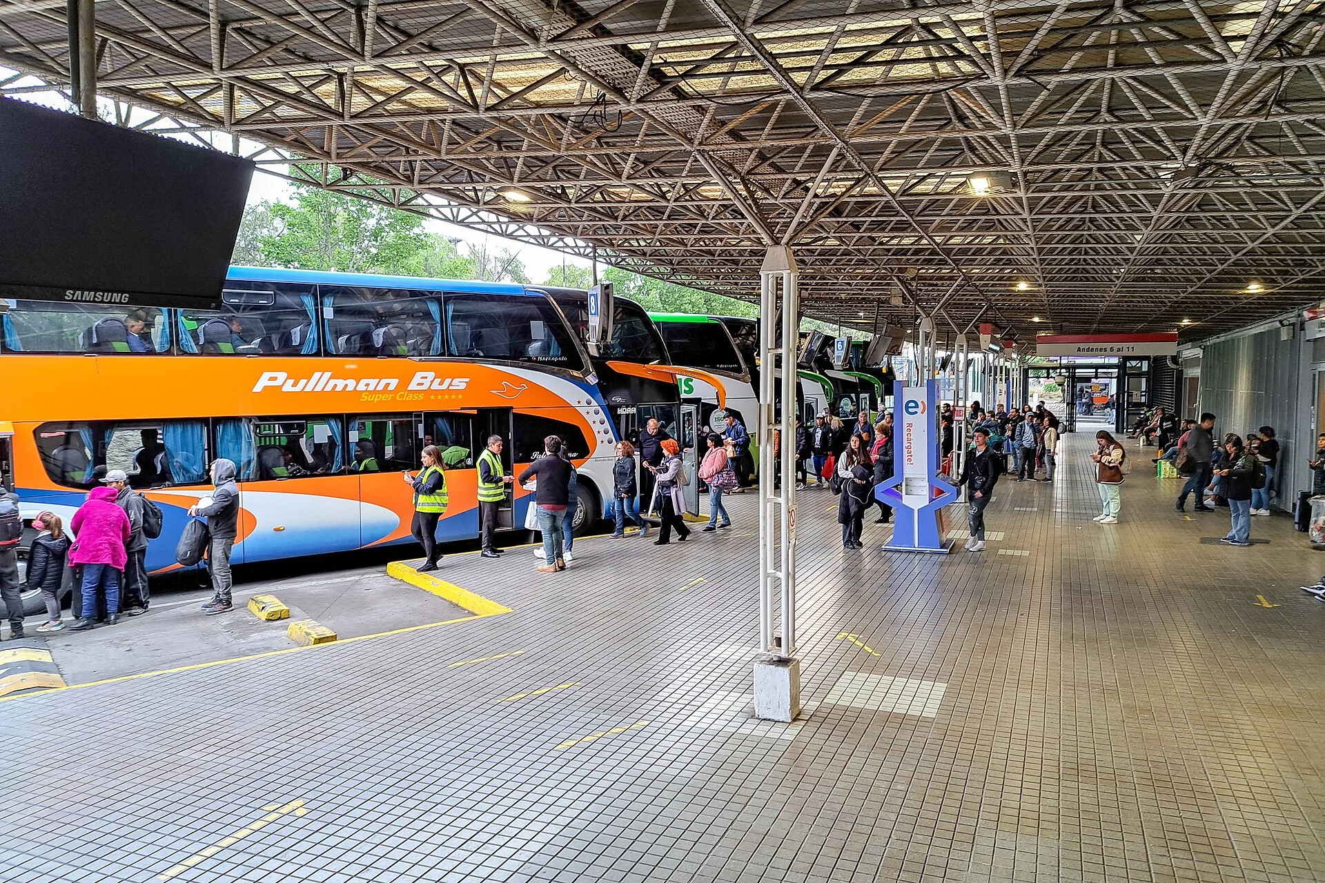 Cardiólogo veterinario a domicilio en Lo Prado