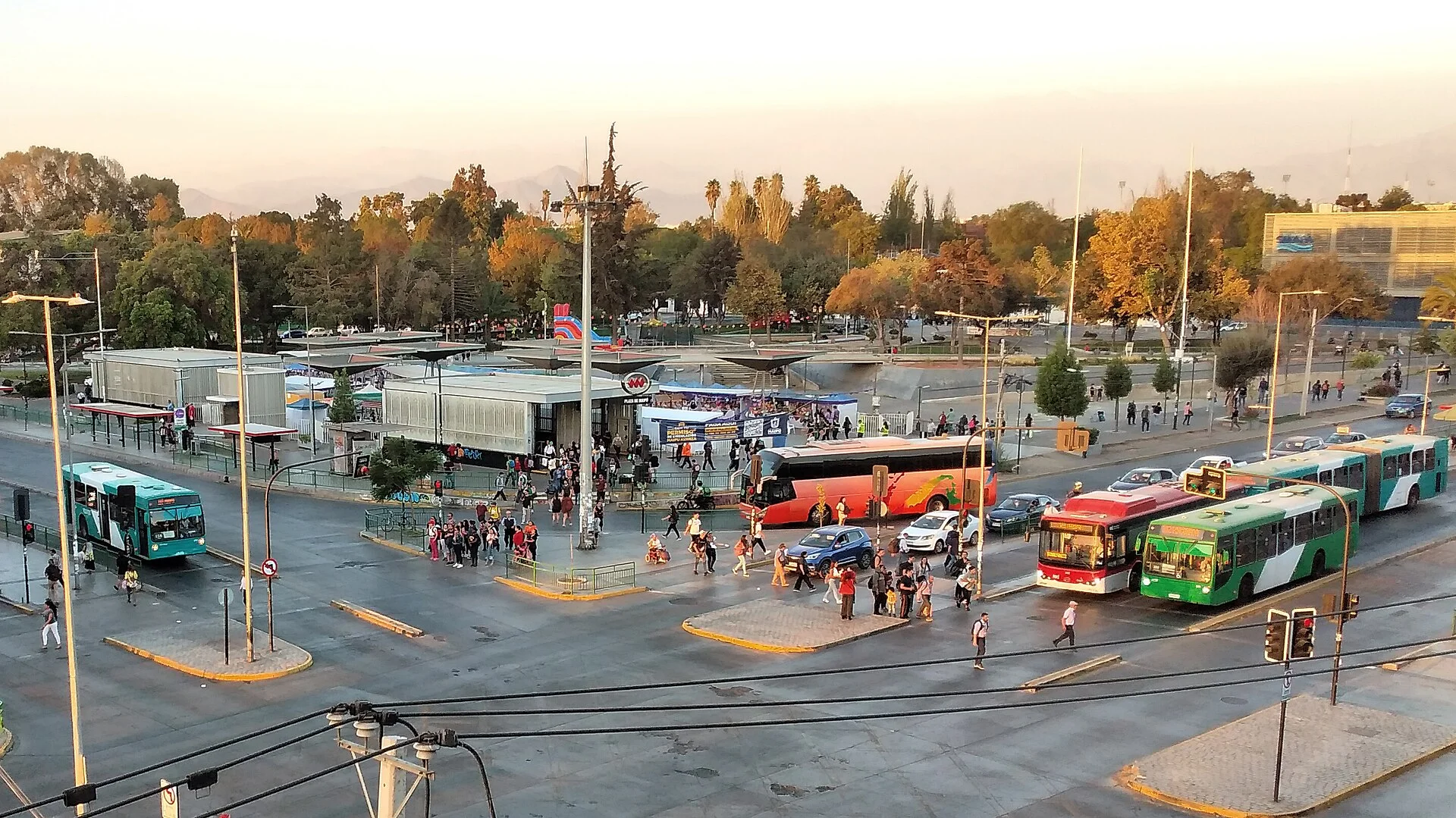 Cardiólogo veterinario a domicilio en Maipú