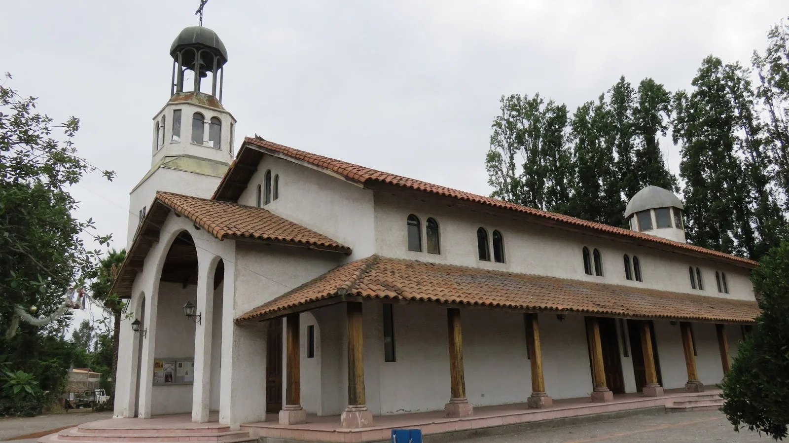 Cardiólogo veterinario a domicilio en Malloco