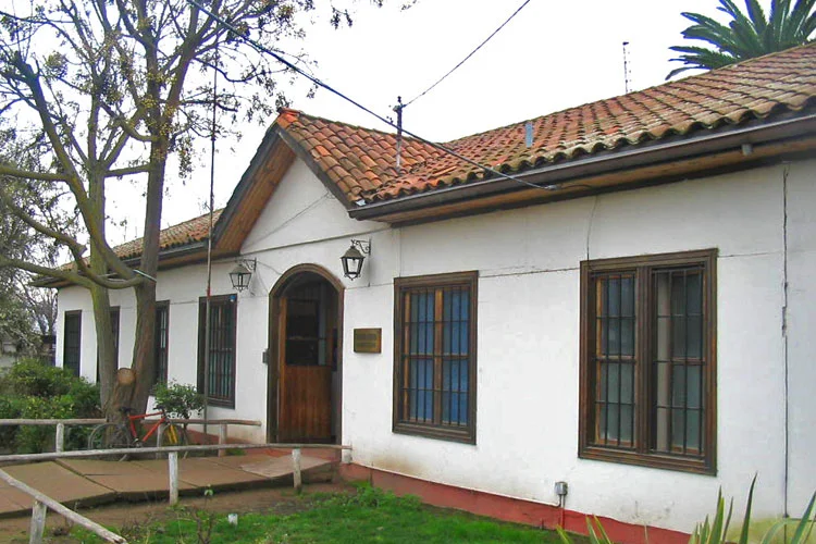 Cardiólogo veterinario a domicilio en María Pinto