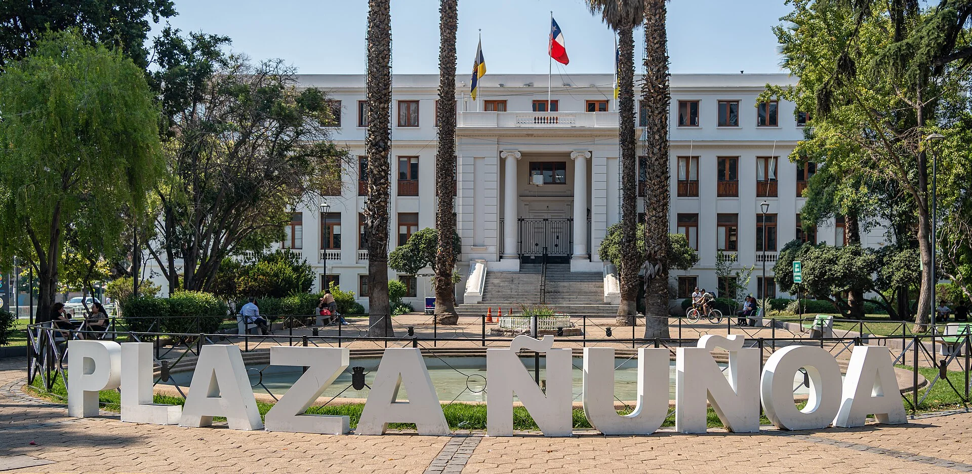 Cardiólogo veterinario a domicilio en Ñuñoa