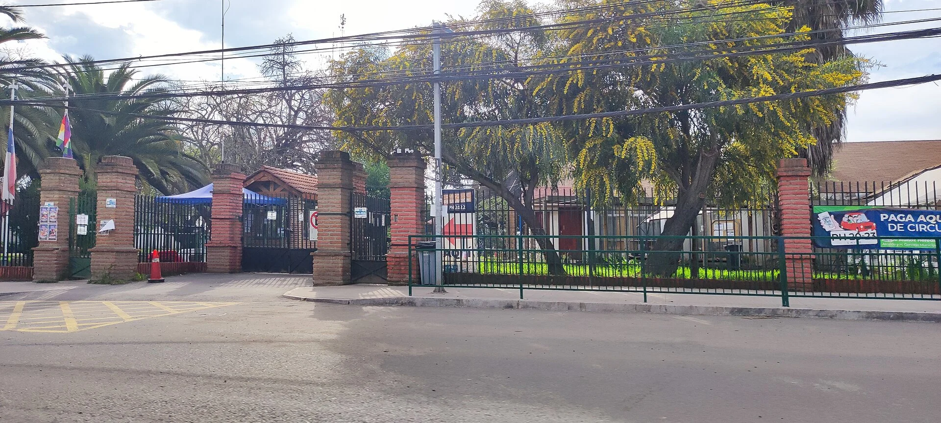 Cardiólogo veterinario a domicilio en Padre Hurtado