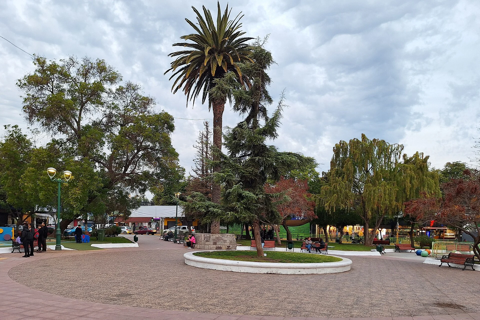 Cardiólogo veterinario a domicilio en Peñaflor 