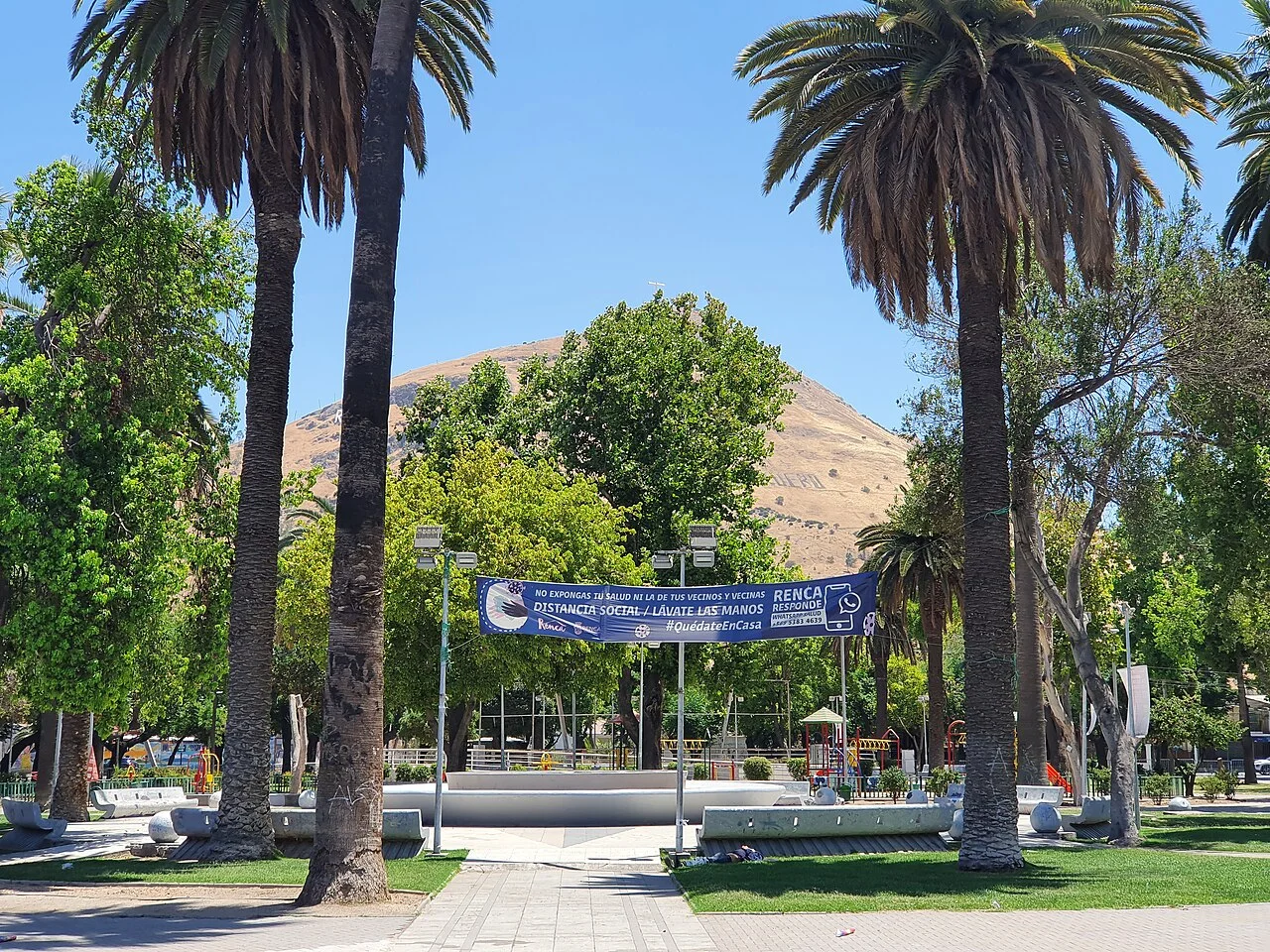 Cardiólogo veterinario a domicilio en Renca