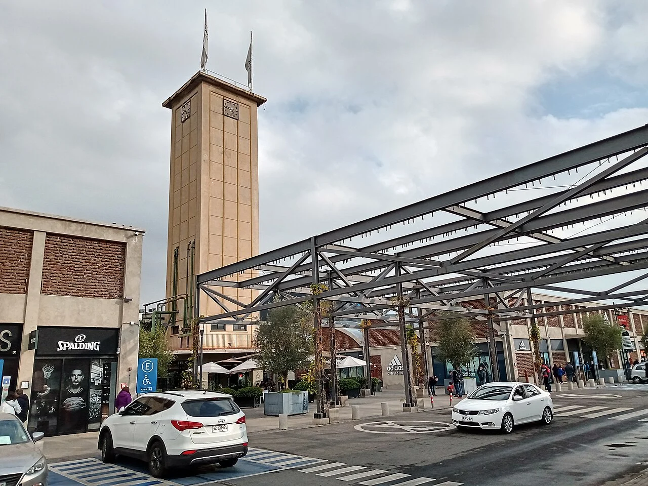 Cardiólogo veterinario a domicilio en San Joaquín