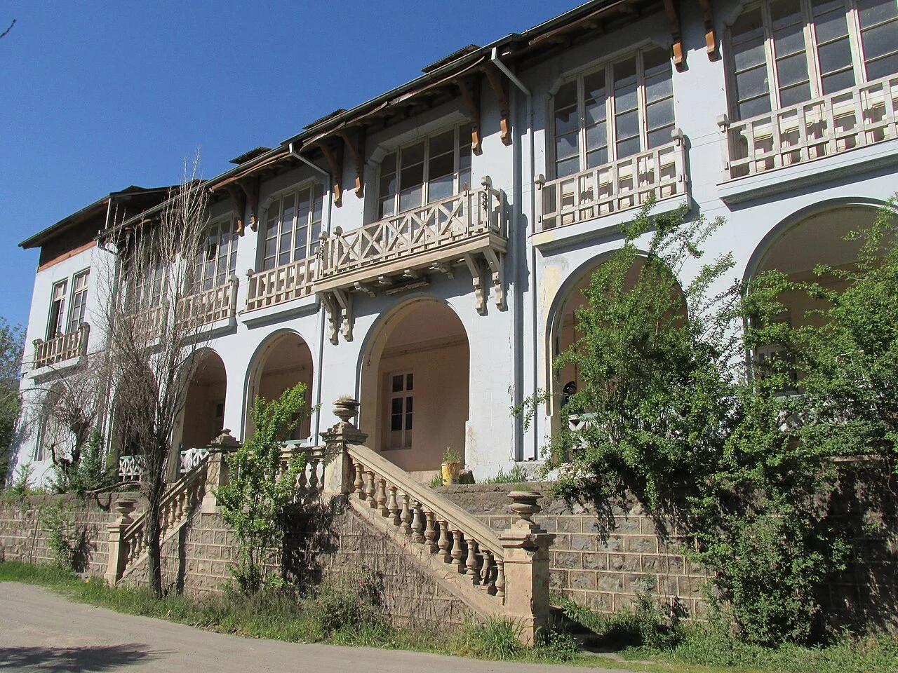 Cardiólogo veterinario a domicilio en San José de Maipo