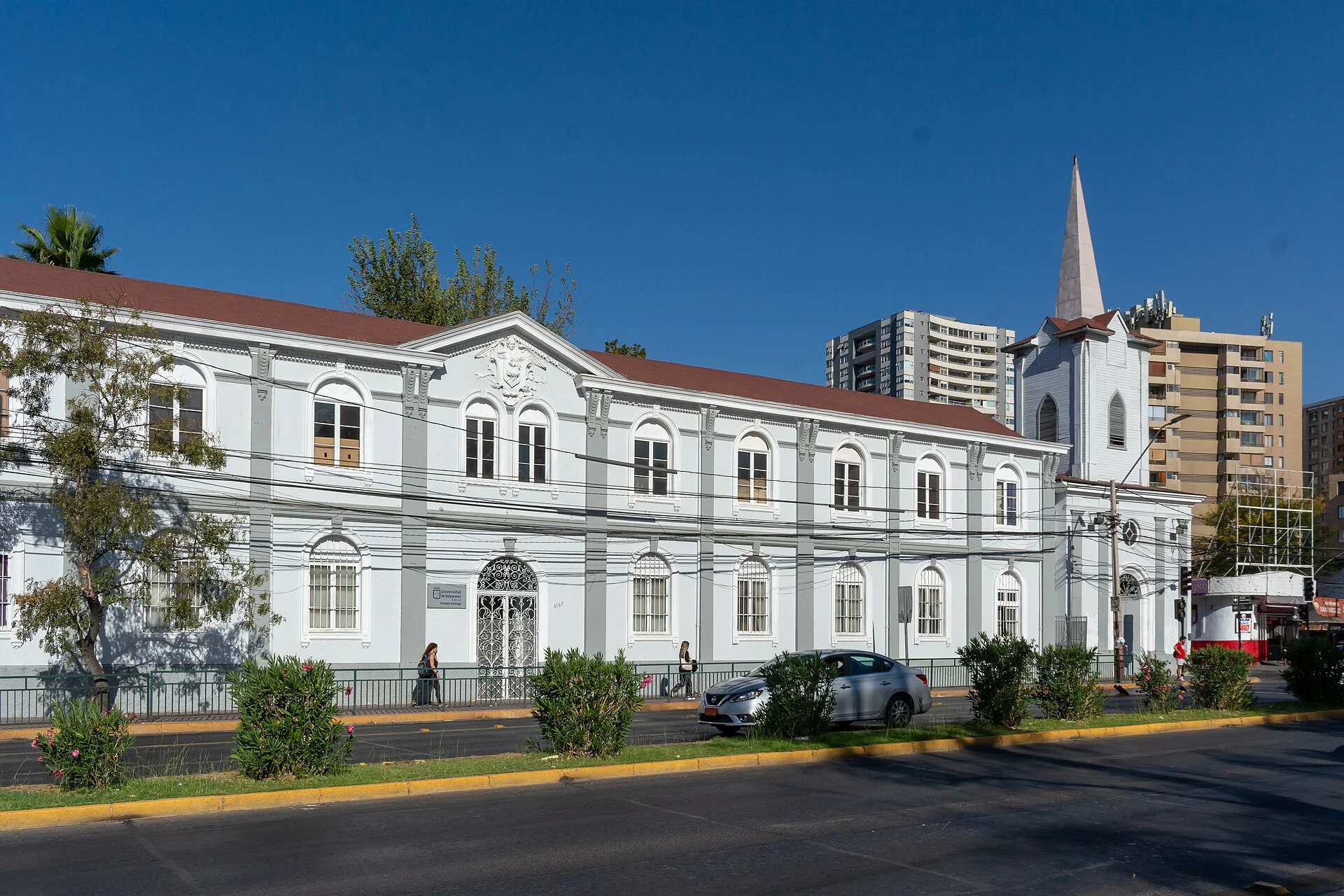 Cardiólogo veterinario a domicilio en San Miguel 